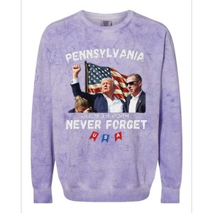 Trump Butler Pennsylvania Never Forget 2024 Colorblast Crewneck Sweatshirt