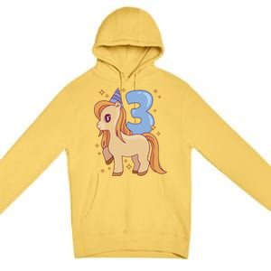 Third Birthday Pony Gift Premium Pullover Hoodie