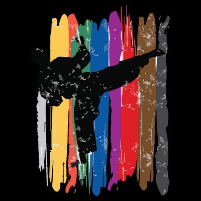 Taekwondo Belts Silhouette Distressed Martial Arts Gift T-Shirt