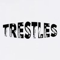 Trestles Beach Surfing Cool Surf Spot For Surfers Button
