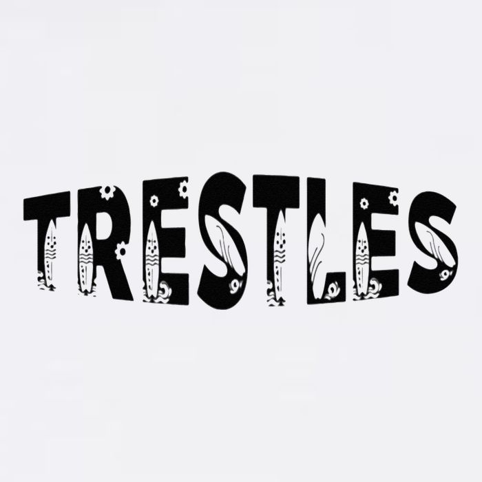 Trestles Beach Surfing Cool Surf Spot For Surfers Button
