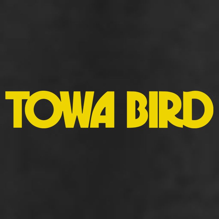 Towa Bird Adult Drive Performance Visor