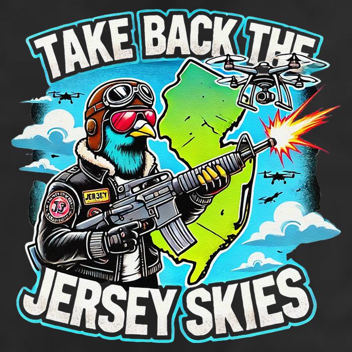 Take Back The Skies New Jersey Mystery Drones Beanie