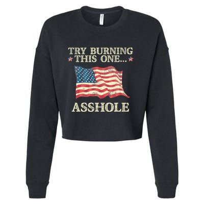 Try Burning This One Asshole American Flag Vintage Cropped Pullover Crew