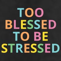 Too Blessed To Be Stressed Adult Drive Performance Visor
