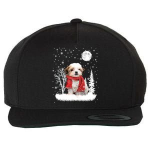 Teddy Bear Under Moonlight Snow Christmas Pajamas Gift Wool Snapback Cap