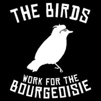 The Birds Work For The Bourgeoisie Cropped Pullover Crew