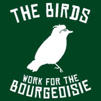 The Birds Work For The Bourgeoisie Womens T-Shirt
