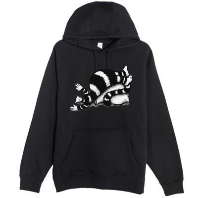 Threadless Boriana Weird Cat Sleeping On Fat Pillow .Png Premium Pullover Hoodie
