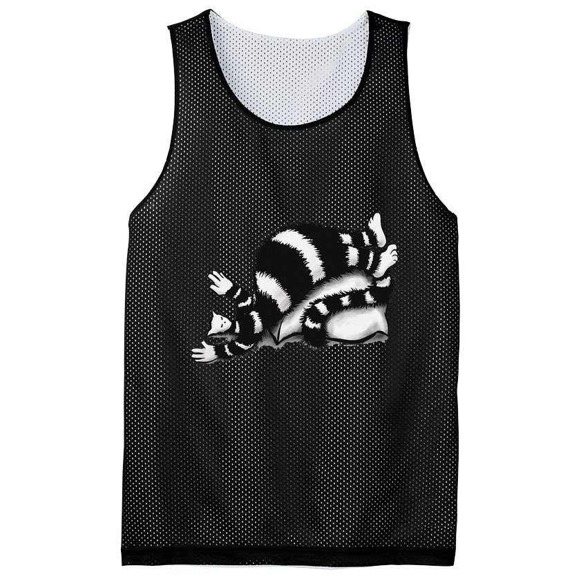 Threadless Boriana Weird Cat Sleeping On Fat Pillow .Png Mesh Reversible Basketball Jersey Tank