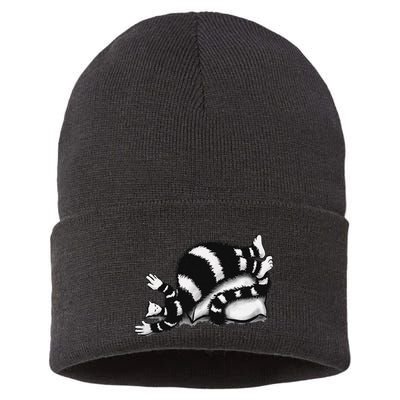 Threadless Boriana Weird Cat Sleeping On Fat Pillow .Png Sustainable Knit Beanie