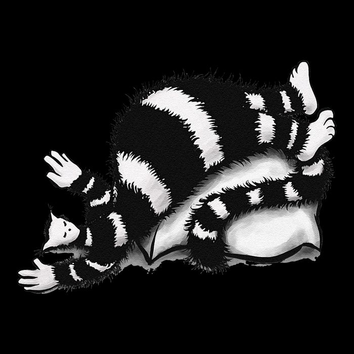Threadless Boriana Weird Cat Sleeping On Fat Pillow .Png Toddler Sweatshirt