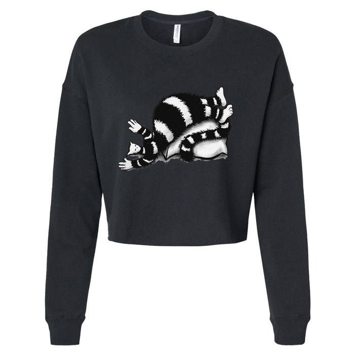 Threadless Boriana Weird Cat Sleeping On Fat Pillow .Png Cropped Pullover Crew