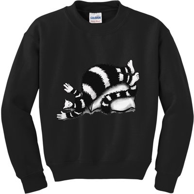 Threadless Boriana Weird Cat Sleeping On Fat Pillow .Png Kids Sweatshirt