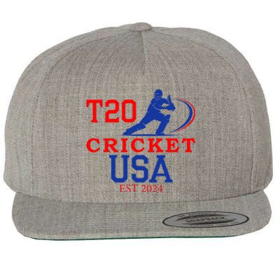 T20 Cricket 2024 Usa Wool Snapback Cap