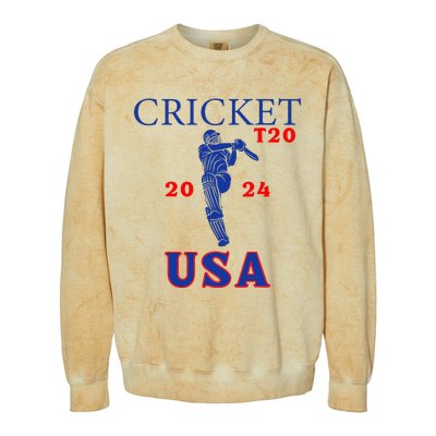 T20 Cricket 2024 Usa Colorblast Crewneck Sweatshirt