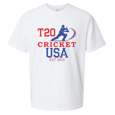 T20 Cricket 2024 Usa Sueded Cloud Jersey T-Shirt