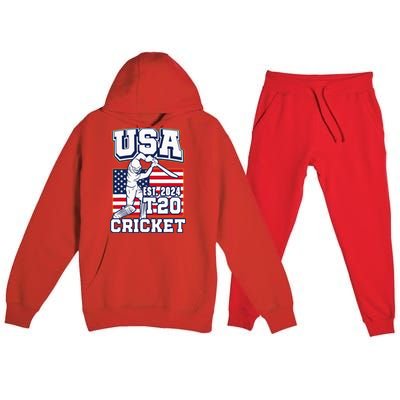 T20 Cricket 2024 Usa Cricket Fans Premium Hooded Sweatsuit Set