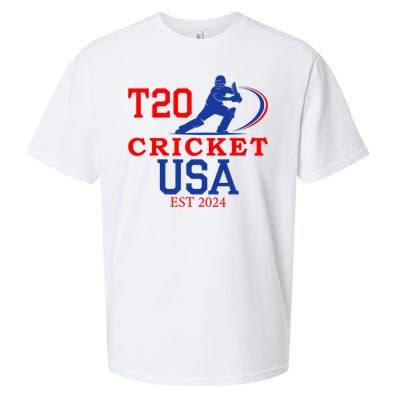 T20 Cricket 2024 Usa Sueded Cloud Jersey T-Shirt