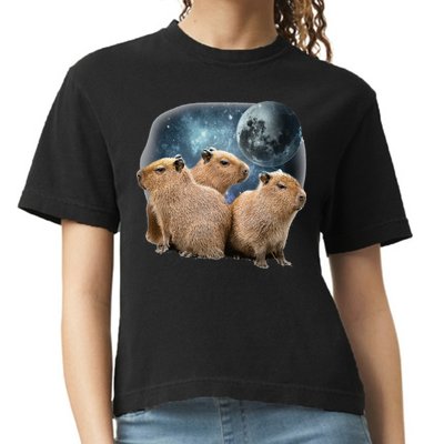 Three Capybaras And Moon Funny Capybara Humor Parody Comfort Colors Boxy T-Shirt