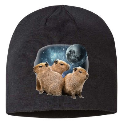 Three Capybaras And Moon Funny Capybara Humor Parody Sustainable Beanie