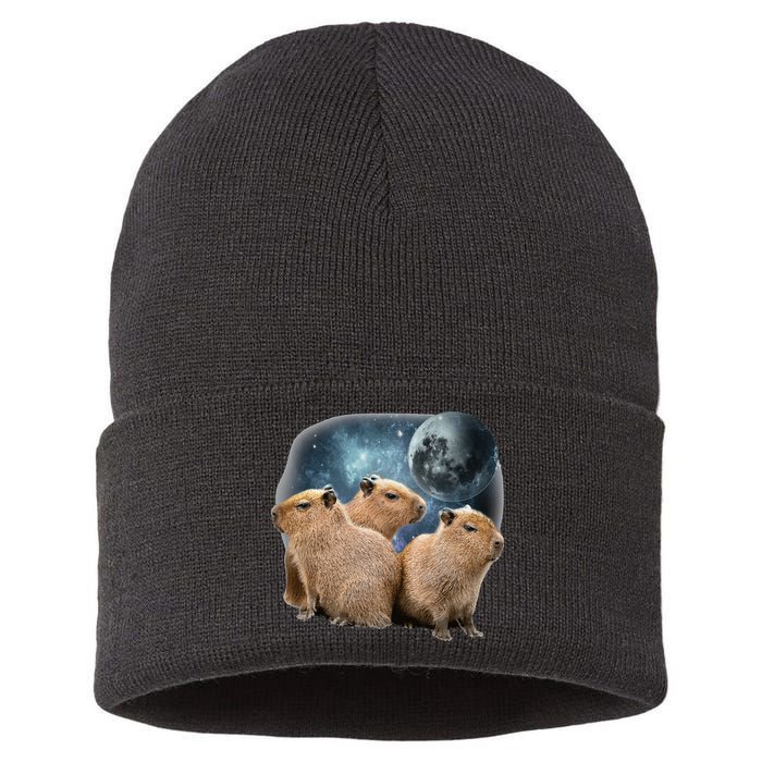 Three Capybaras And Moon Funny Capybara Humor Parody Sustainable Knit Beanie