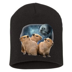 Three Capybaras And Moon Funny Capybara Humor Parody Short Acrylic Beanie