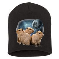 Three Capybaras And Moon Funny Capybara Humor Parody Short Acrylic Beanie