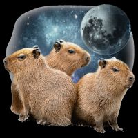 Three Capybaras And Moon Funny Capybara Humor Parody Short Acrylic Beanie