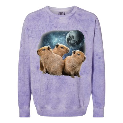 Three Capybaras And Moon Funny Capybara Humor Parody Colorblast Crewneck Sweatshirt