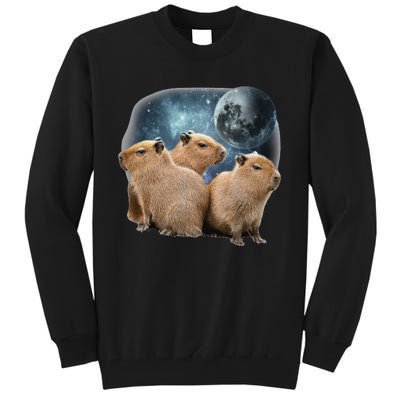 Three Capybaras And Moon Funny Capybara Humor Parody Tall Sweatshirt