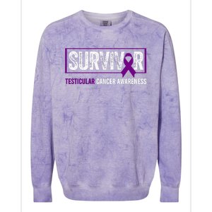 Testicular Cancer Awareness Testicular Cancer Survivor Colorblast Crewneck Sweatshirt