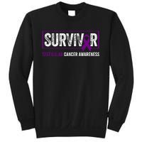 Testicular Cancer Awareness Testicular Cancer Survivor Sweatshirt