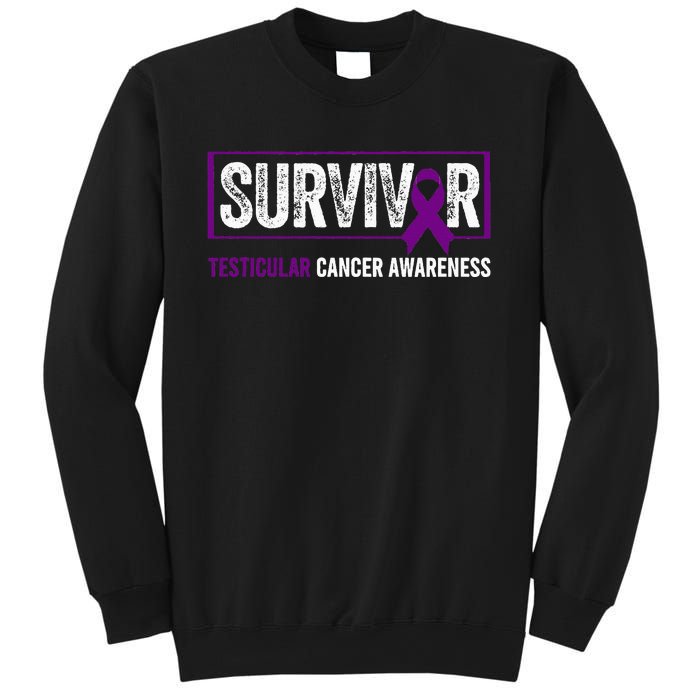 Testicular Cancer Awareness Testicular Cancer Survivor Sweatshirt