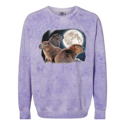 Three Capybaras And Moon Funny Capybara Humor Parody Colorblast Crewneck Sweatshirt