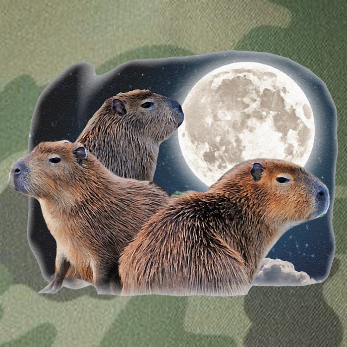 Three Capybaras And Moon Funny Capybara Humor Parody Legacy Tie Dye Trucker Hat