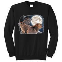 Three Capybaras And Moon Funny Capybara Humor Parody Sweatshirt