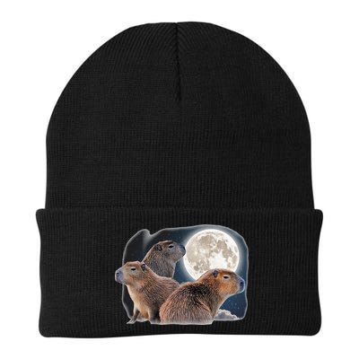 Three Capybaras And Moon Funny Capybara Humor Parody Beanie