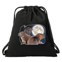Three Capybaras And Moon Funny Capybara Humor Parody Drawstring Bag