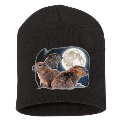Three Capybaras And Moon Funny Capybara Humor Parody Short Acrylic Beanie