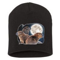 Three Capybaras And Moon Funny Capybara Humor Parody Short Acrylic Beanie