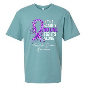 Testicular Cancer Awareness This Family No One Fights Alone Gift Sueded Cloud Jersey T-Shirt