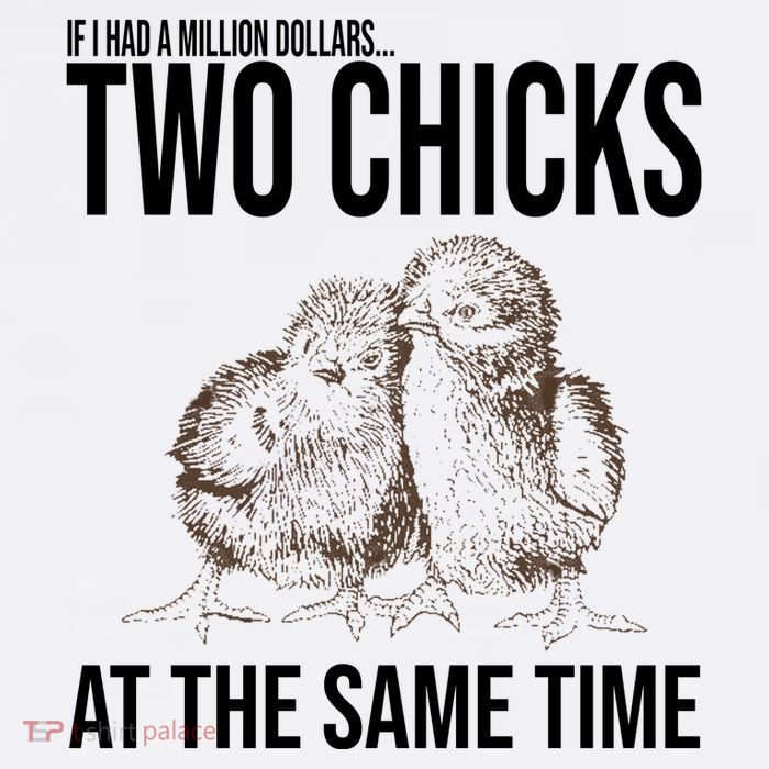Two Chicks At The Same Time Funny Visor