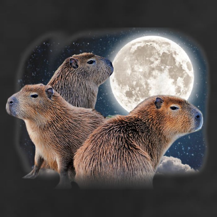 Three Capybaras And Moon Funny Capybara Humor Parody Cool Comfort Performance Bucket Hat
