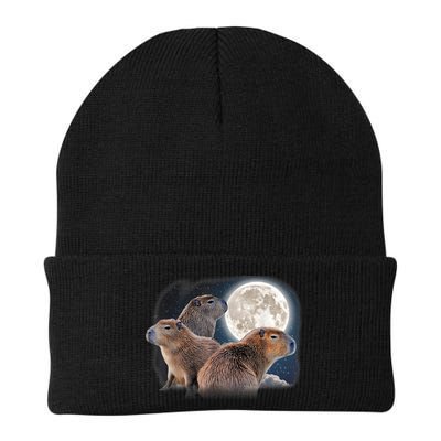 Three Capybaras And Moon Funny Capybara Humor Parody Beanie