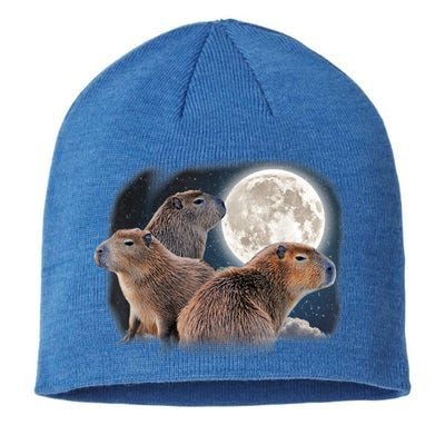 Three Capybaras And Moon Funny Capybara Humor Parody Sustainable Beanie