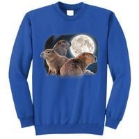 Three Capybaras And Moon Funny Capybara Humor Parody Tall Sweatshirt