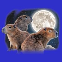 Three Capybaras And Moon Funny Capybara Humor Parody Stripe Pom Pom Beanie