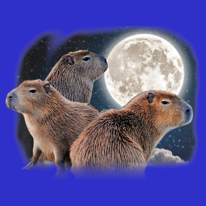 Three Capybaras And Moon Funny Capybara Humor Parody Stripe Pom Pom Beanie