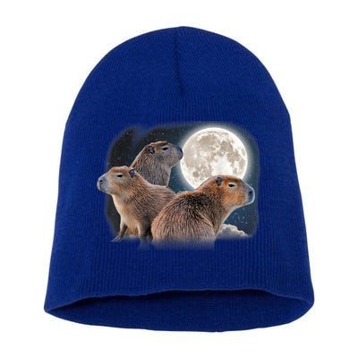 Three Capybaras And Moon Funny Capybara Humor Parody Short Acrylic Beanie